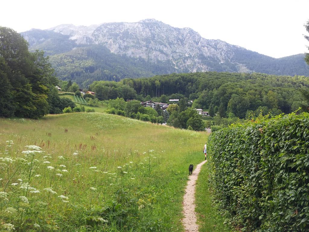 Pension Schwarzenbach Бад Райхенхал Екстериор снимка